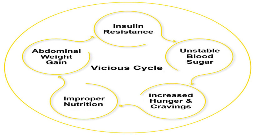Ръководство за инсулинова резистентност